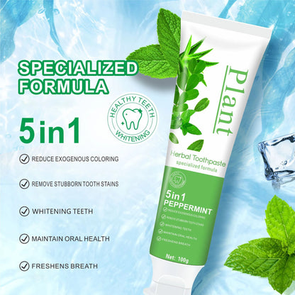 1/3/5pcs Hydroxyapatite Toothpaste,Gentle Mint,Breath Refreshing Whitening Toothpaste,Stain Removal Tooth Paste,Oral Care